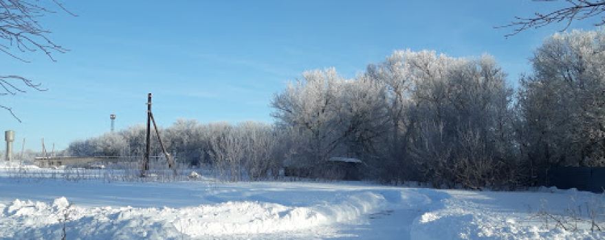 Tsentral'no-Chernozomnyy Gosudarstvennyy Prirodnyy Zapovednik Im. V.v. Alekhina