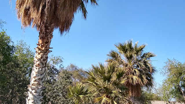 Camping, Swimming Pool North Park