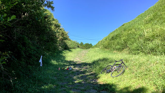 Bungo Kaido Futae-no-toge Ishi-tatami