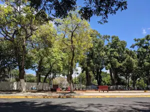 Redondel Del Palmar