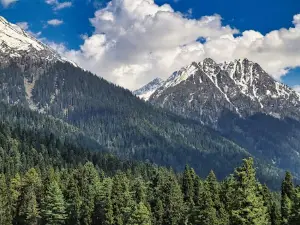 Mini Switzerland Pahalgam