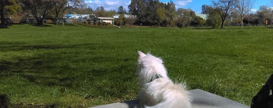 애슐리 오프 리쉬 도크 공원