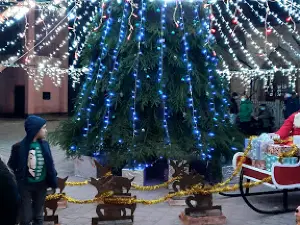 Calarasi Dolj