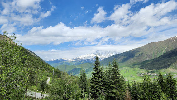 Murshkeli