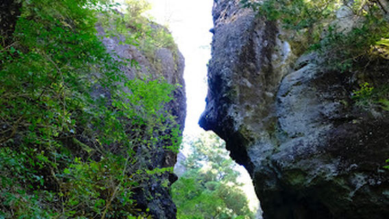 Harunajinja Zuishinmon