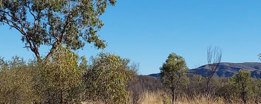 Central Mount Stuart Historical Reserve