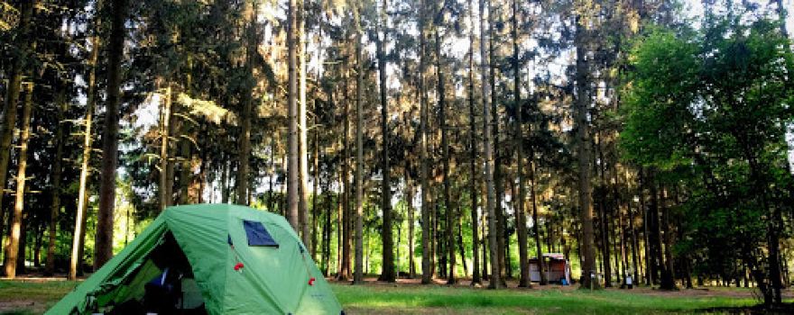 Camping Den Buizerd