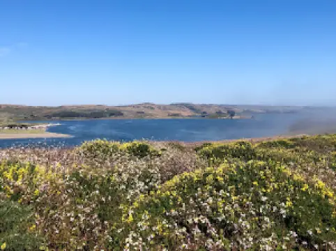 Tomales Point