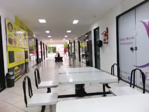 GALERIA MONTE SINAI