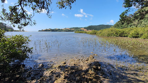 Opoutere Beach Public Park.