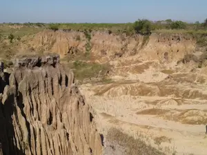 Museo Paleontologico Toropi