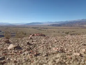 Кочкорка