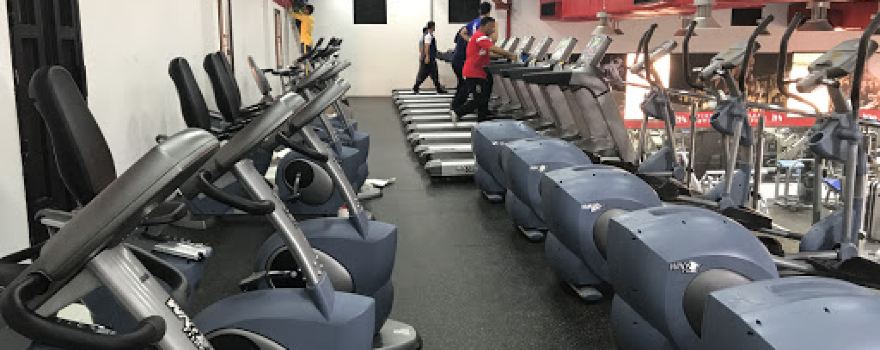 Flex Sports Center