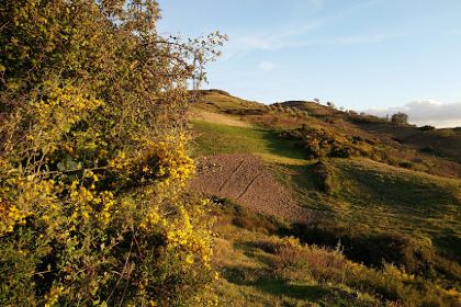 Café Panorama Loubar