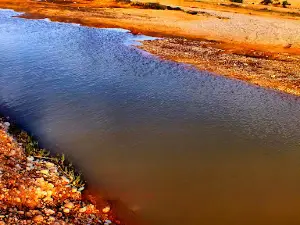Wadi Al-Ain Wildlife Spot