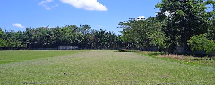 Young Soccer Field Development