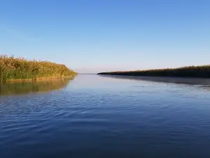 Baza Veselaya