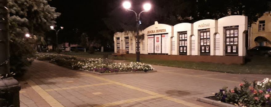advertising agency "Tambov wolf"
