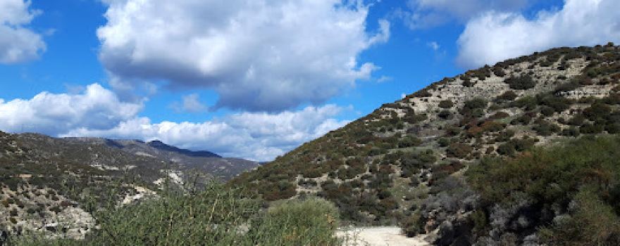 Nature reserve