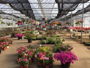 Fertile Garden Center