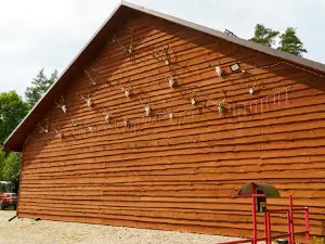 Ažumiškė II