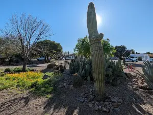 Desert Meadows Park