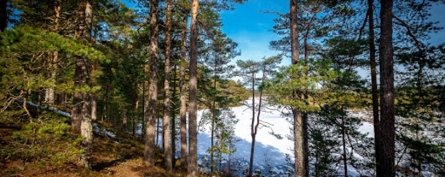 Majakivi - Pikanõmme loodusõpperada (7 km)