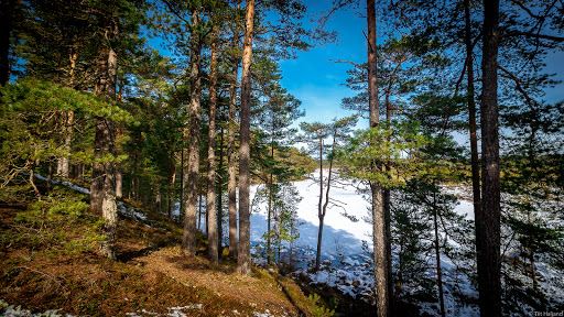 Majakivi - Pikanõmme loodusõpperada (7 km)