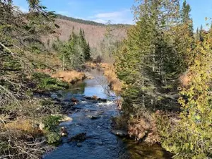 Cedar Ridge Outfitters