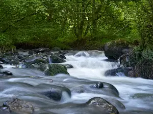 Camping Sovata