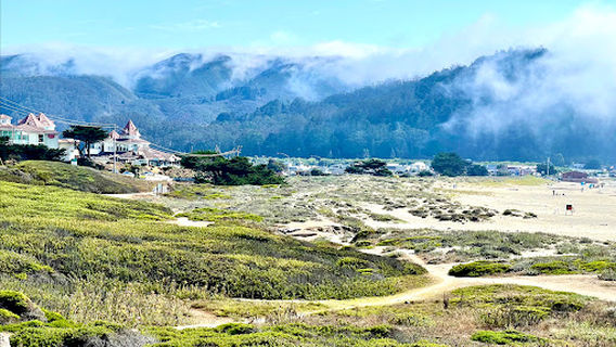 샵 파크 골프 코스