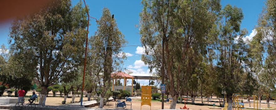 Plaza Central Antonio Amaro El Saucillo