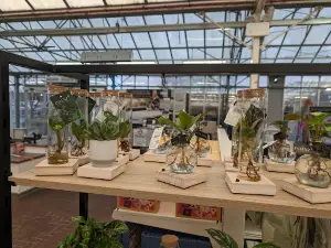 Dobbies Garden Centre Stapleton