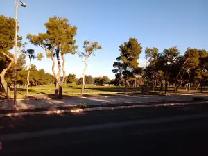 Parco Città