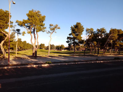 Parco Città