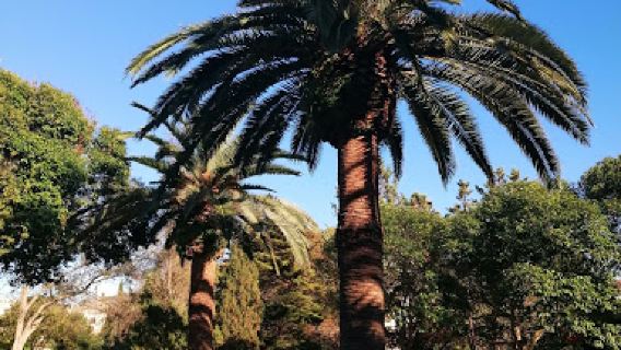 Freginal Park