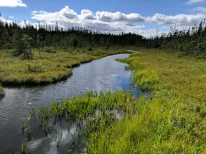 Cobb's Pond Trail