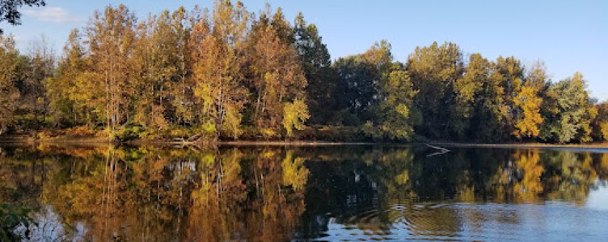 Tozer's Landing Boat Launch (Chemung River)