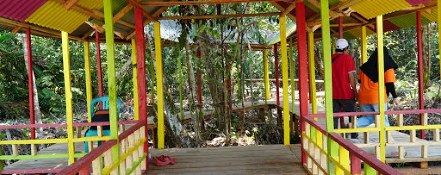 Wisata Hutan Pelawan