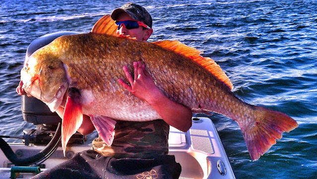 Madness Fishing Charters, LLC