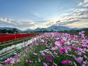 สวนดอยเอียน - DOI IAN GARDEN
