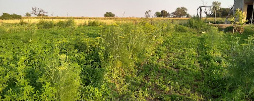 NETA JI KRISHI FARM HOUSE