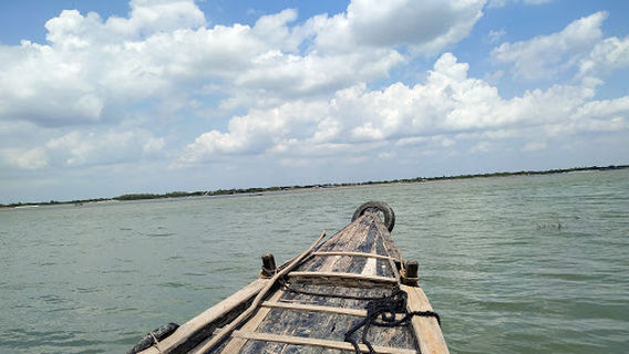 The Sundarbans (Bangladesh)