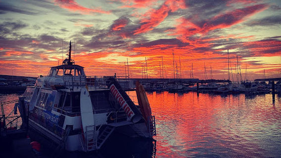 Fuerteventura full experience