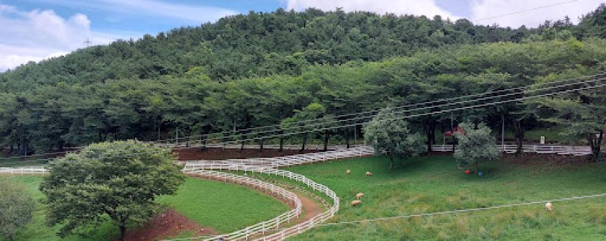 Sangsang Sheep Ranch