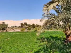 Dakhla Oasis