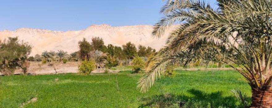 Dakhla Oasis