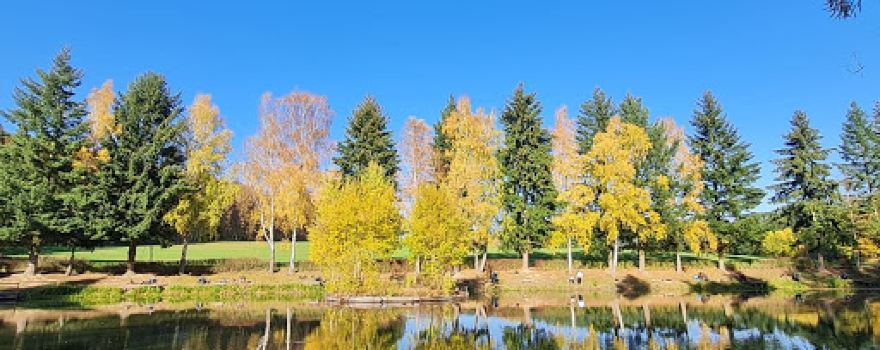Angel Park Birkensee im Taunus Orlen