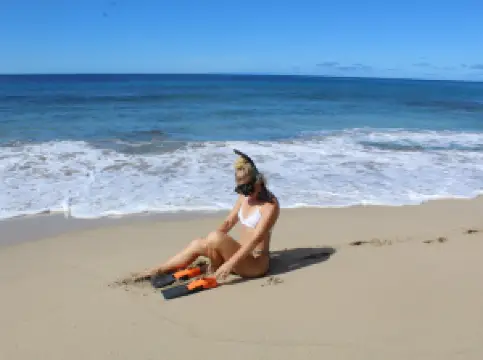 Try Snorkeling and Scuba Diving - San Juan