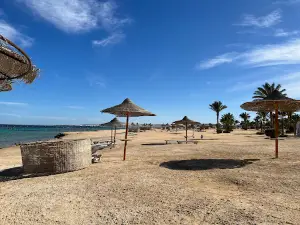 Wadi el Gemal Reserve